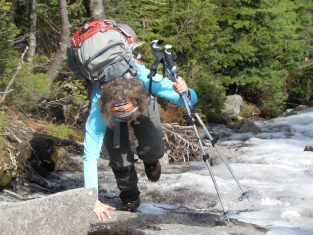 algonquinpeaktrail9.jpg