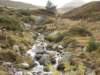 dscn7895_small.jpg