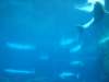 dscn9419_small.jpg