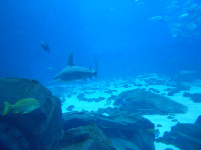 dscn9469.jpg