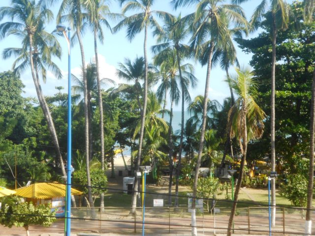 dscn0104.jpg