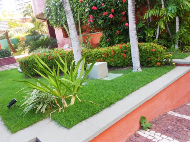 dscn0211.jpg