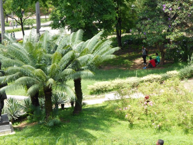 dscn0474.jpg