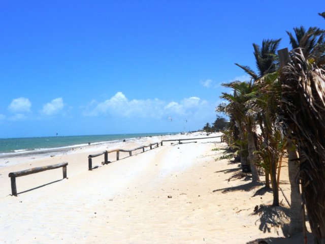 dscn9895.jpg