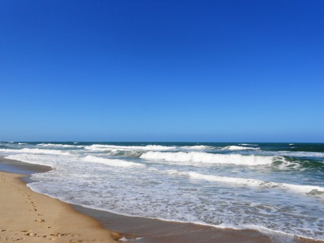 dscn9985.jpg