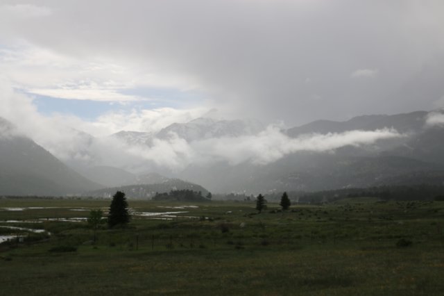 img_4246.jpg