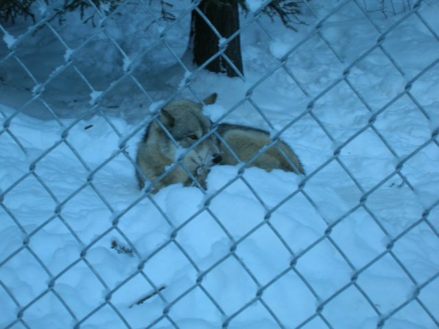 dscn2047.jpg