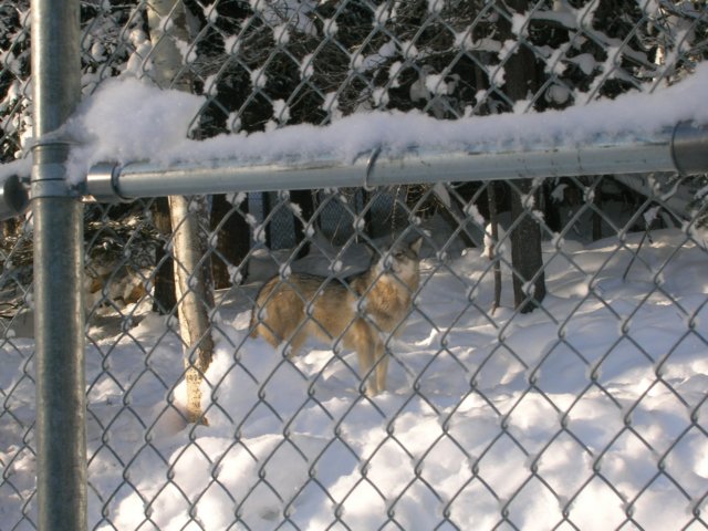 dscn2054.jpg
