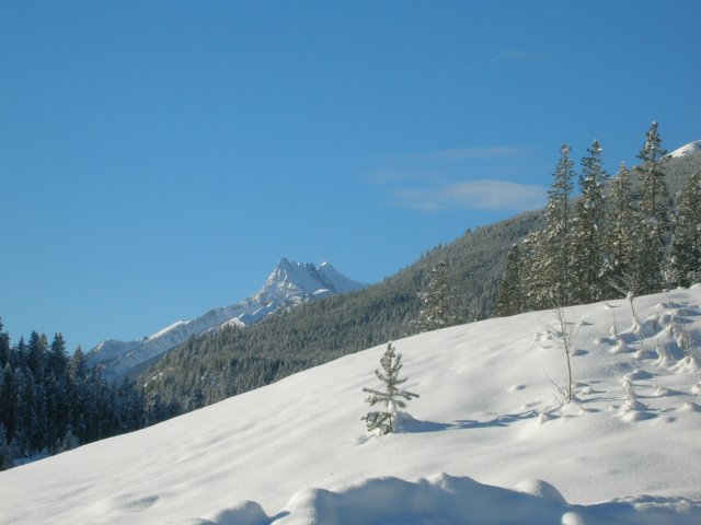 dscn2061.jpg