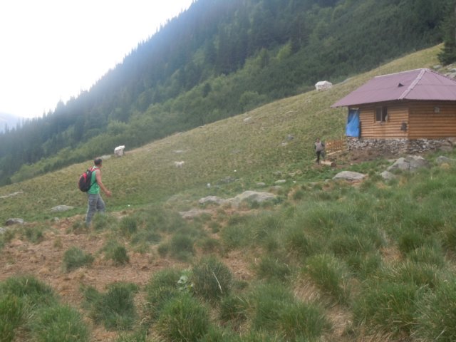 dscn6903.jpg