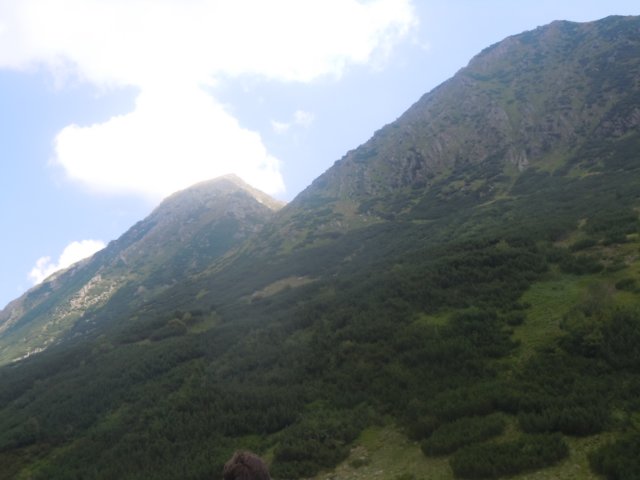 dscn6904.jpg