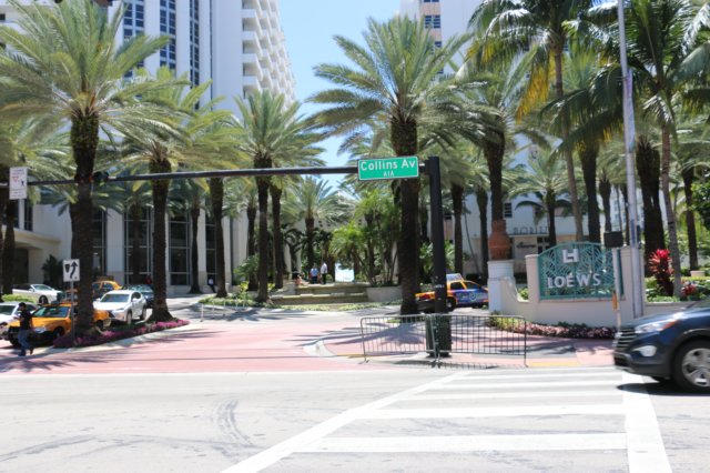 floridamay2015.jpg