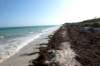 img_8816_fotor_small.jpg