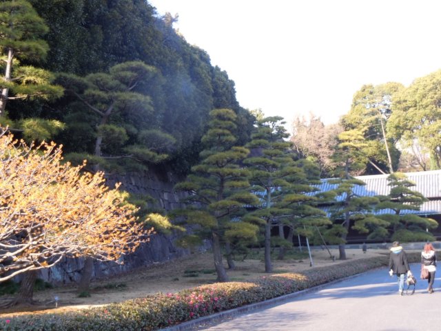 dscn1021.jpg