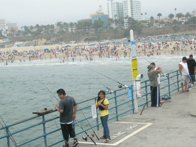 dscn1950.jpg