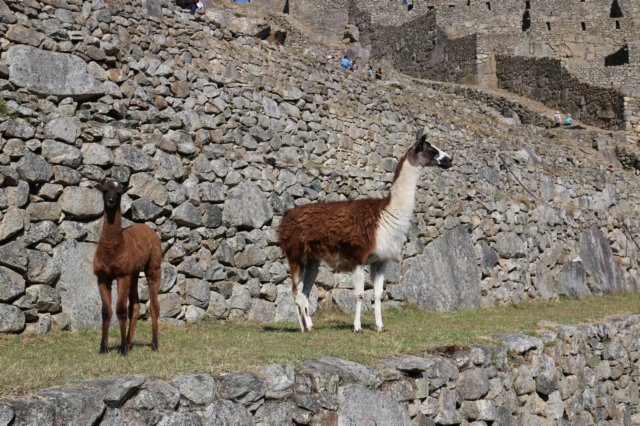 img_5420.jpg