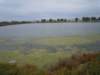 dscn7176_small.jpg