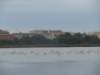 dscn7216_small.jpg