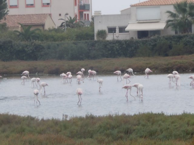 dscn7221.jpg