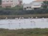 dscn7221_small.jpg