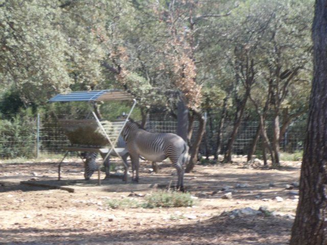 dscn7383.jpg