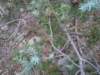 dscn7082_small.jpg
