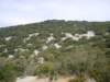 dscn7087_small.jpg