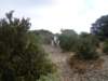 dscn7088_small.jpg