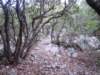 dscn7094_small.jpg