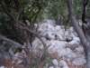 dscn7095_small.jpg