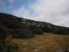 dscn7099_small.jpg