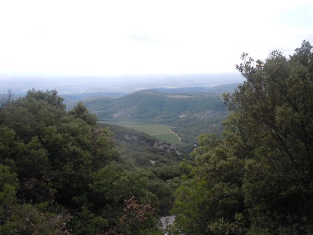 dscn7103.jpg