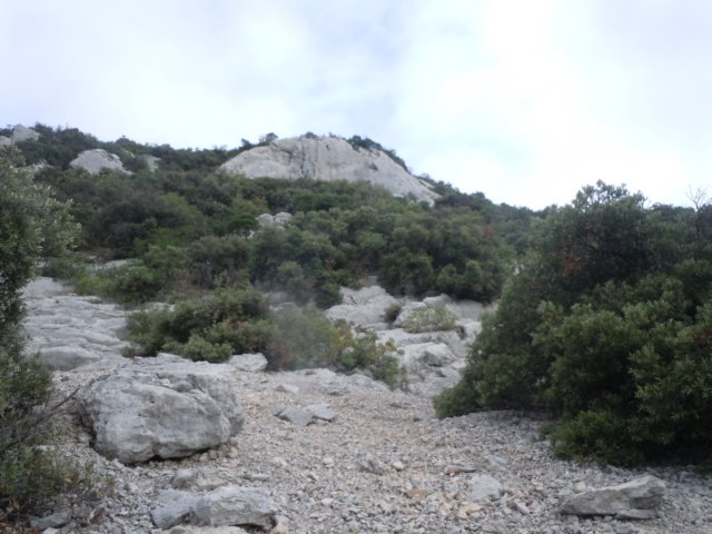 dscn7104.jpg