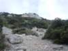 dscn7104_small.jpg