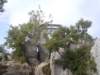 dscn7111_small.jpg