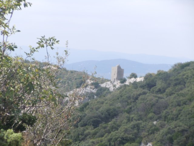dscn7136.jpg