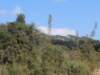 dscn7138_small.jpg