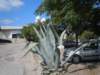 dscn7140_small.jpg