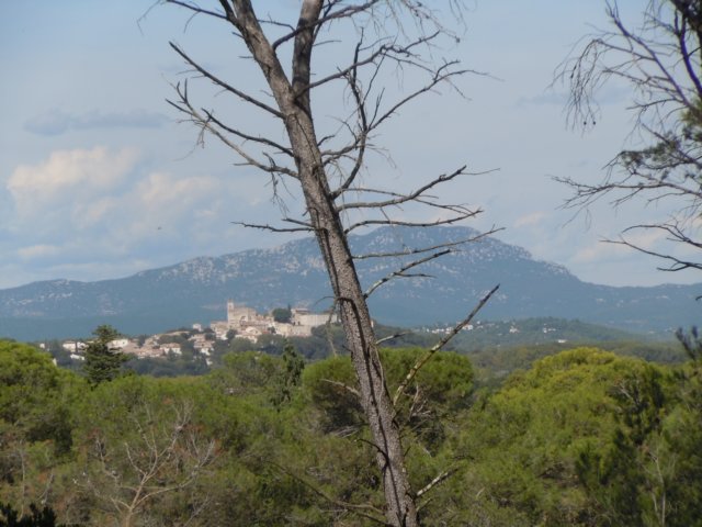 dscn7395.jpg