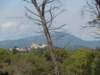 dscn7395_small.jpg