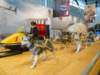 dscn8992_small.jpg