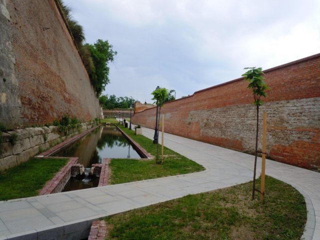 albacarolina37.jpg