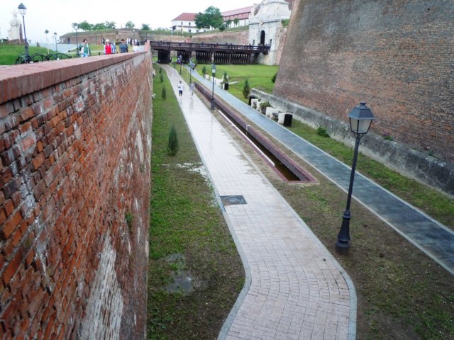 albacarolina43.jpg
