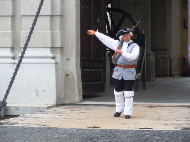 albacarolina46.jpg