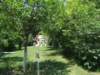 dscf1307_small.jpg