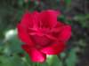 dscf1336_small.jpg