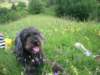 dscn2408_small.jpg