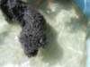 dscn2422_small.jpg