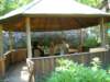 dscn2432_small.jpg