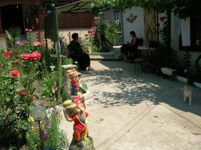 dscn2549.jpg